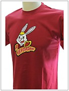 Нанесение рисунка на футболку термотрансфер